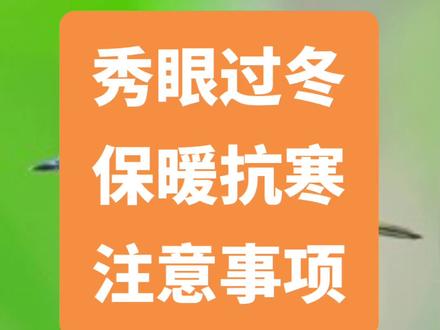 秀眼过冬,别太复杂,平稳最好。