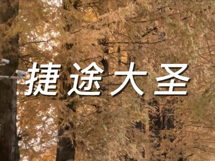 流畅,但界面并不简洁-捷途大圣车机系统体验