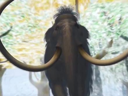 短面熊上岸遭遇剑齿虎兄弟拦路,一怒之下拍碎对方脑袋,结果…#野生动物 #动物 #动物百科 #动物科普 #人与动物 #动画 #剑齿虎 #史前 #恐龙争霸