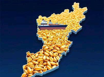 以色列的弱点,主粮 #时代的荣耀 #零基础看懂全球 #全球创作者计划 #以色列