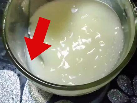 益生菌高钙驼乳蛋白粉,69.9元6罐/每罐320克,南京同仁堂绿金家园,中国人民保险担保#纯天然无添加 #早餐冲泡食品推荐 #喝出来的健康 #大人小孩都爱吃 #好东西一起分享给大家 ,点击小黄车直接的购买
