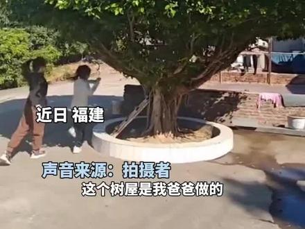 “小时候谁不希望拥有一个小树屋”,一位博主分享爸爸做的树屋,网友:像走进了动画片里。