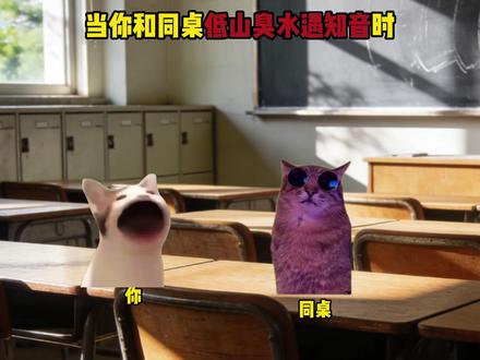 当你和同桌低山臭水遇知音时 #猫meme #音乐 #不知火舞魅语 #抽象
