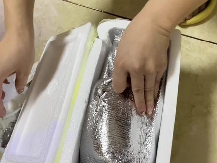 自上次网购黄金眼镜蛇雷龙鱼被骗后,今天又到一条雷龙,大家看看真假#养鱼日记 #观赏鱼 #原生鱼#养鱼人 #养鱼经验分享