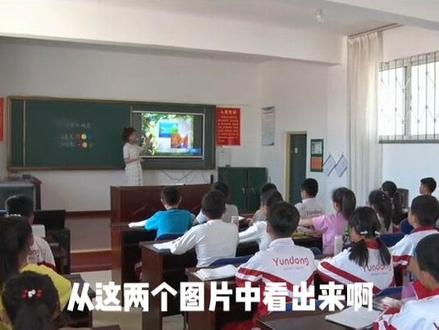 苏少版小学美术四年级上册《第1课 冷色和暖色》优质课公开课#小学美术获奖公开课 #美术课 #美术教学 抖音