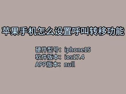 苹果手机怎么设置呼叫转移功能 #科技 #科普