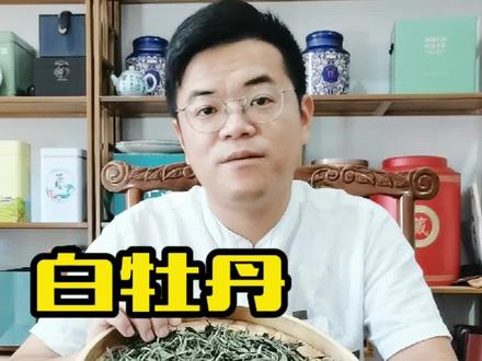 你冲泡的白牡丹为什么不好喝?#福鼎白茶 #白茶 #白牡丹冲泡