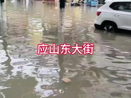 #广水暴雨 #暴雨致河水暴涨 大家出行注意安全。