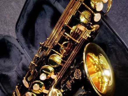 萨尔玛802黑金中音萨克斯管#萨克斯演奏 #萨克斯 #萨克斯教学