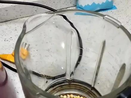 儿子最喜欢豆浆机视频了,我就随便录了一个,供小家伙玩!