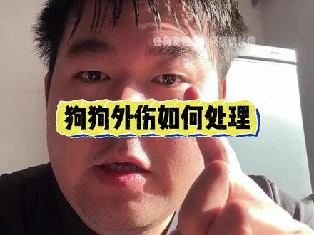 #狗狗治疗 狗狗外伤如何处理#狗 #养宠进阶指南 #宠物 #宠物知识 @米修是阿拉~ @千寻是只哈士奇