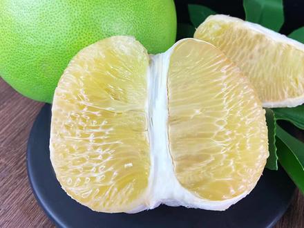 历时500多天用柚子里的籽种柚子,现在长成大树了!#柚子 #柚子树 #盆栽 #种植 #便宜好吃的零食