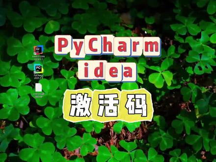 idea激活#激活码