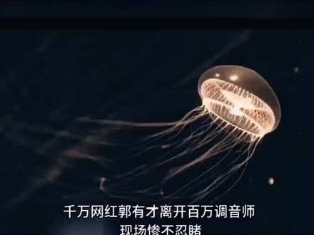 千万网红郭有才#明星人物传 #明星热点爆料2907