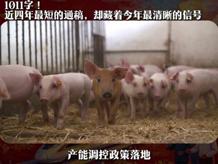 28日会议深度解读:1011字!近四年最短的通稿,我读出了四个经济趋势#财经 #掘金计划2026 #燃起来了大国重器
