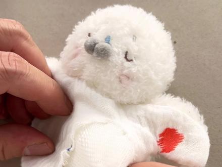 好的,剪开了,海豹宝宝豆袋捏捏#无法上吊之物 #海豹捏捏 #减压捏捏