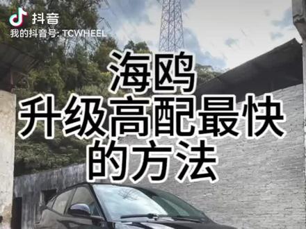海鸥升级高配无需刷cpu写动力,只需要换一套轮毂#比亚迪#海鸥#天丞轮毂#jdm#新能源