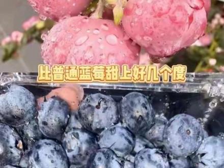 粉色🫐 莓果界的颜值天花板了吧
#粉色蓝莓#粉红佳人#蓝莓#水果
