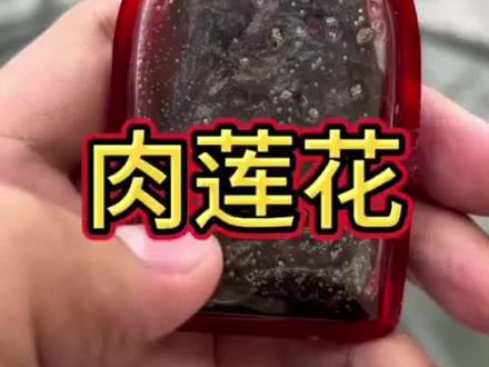 科普讲解避坑为主#树明老师 #避坑指南