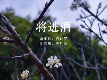 两百万娶不走离北王的狼崽,这样的聘礼配不上我的萧策安#将进酒 #沈兰舟 #萧策安