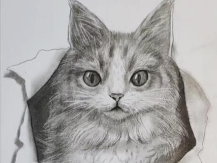 你知道结果不重要,但是过程一定要潇洒#画画 #一起学画画 #学会快去试试吧🔥 #素描动物 @DOU+小助手