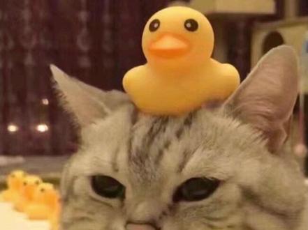 网恋奔现后发现对方很丑怎么办?#人间真实系列 #网恋 #情感共鸣