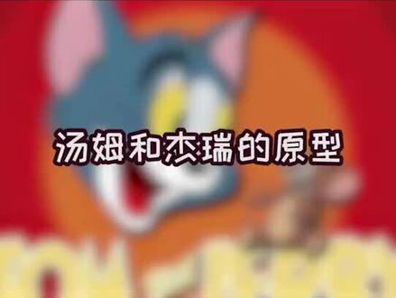 #猫和老鼠 猫鼠品种,你知道吗?@猫和老鼠陈杰瑞