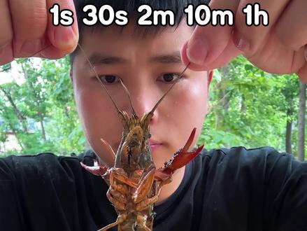 油炸小龙虾1s-1h不同时间 #美食挑战 #时间管理 #吃小龙虾