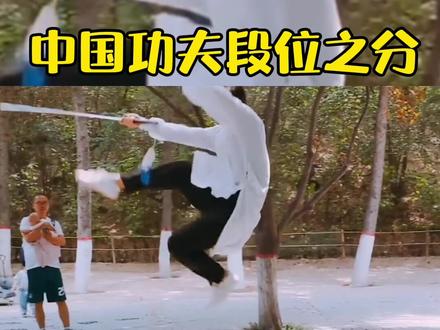 中国功夫有哪些段位?李连杰拥有的武英级称号到底是什么?