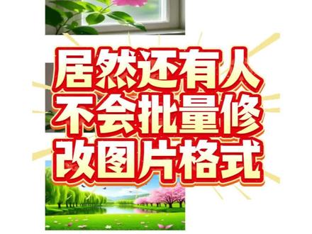 Word里图片格式乱糟糟?批量修改技巧来了,新手也能秒上手✅ #word排版 #WPS技巧 #办公技巧 #伙伴计划