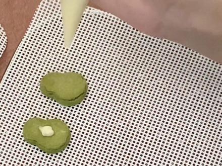自制宠物小饼干失败版volg
不过这种mini版模具特别适合小鼻嘎
做的费劲吃的很香~
#手工宠物零食 #自制宠物饼干#居家vlog #治愈系volg #小狗日记