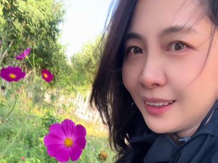 格桑花在东北接地气儿🤣 #格桑花#扫帚梅