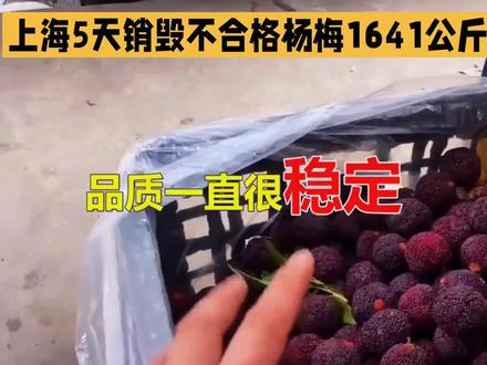 上海最近开始实行“进场必查”的规定了,才5天就销毁了1641公斤不合格的杨梅呢