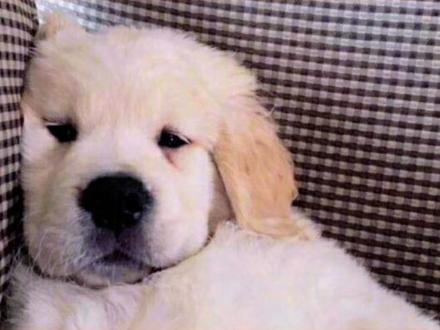 多闪小火人可盐可甜任你调 #多闪app#多闪#小火人AI聊天#有趣的灵魂