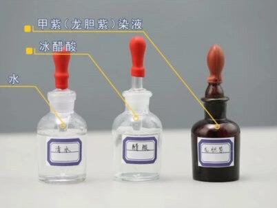 高中生物实验 | 低温诱导染色体数目的变化 #科学小实验 #技术分享 #高中生物 #低温诱导 #生物圈app