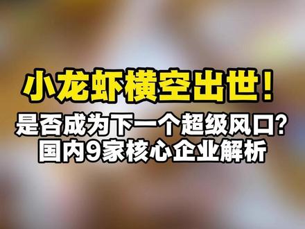 小龙虾横空出世!下一个超级风口?国内的九家核心企业解析! #OpenClaw #ai #算力 #研报