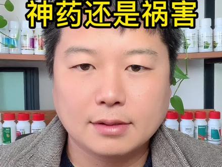 氯溴异氰尿酸,救急救命可用,但是利用其强氧化剂的同时又得注意其对叶片的危害#氯溴异氰尿酸 #农业种植 #新科植保研究院