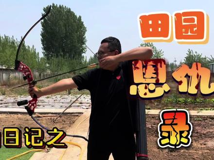 小鸭子离奇失踪!家养的怎么能是野生的对手?我忍不住要出手了 #弓箭 #射箭 #户外 #户外装备 #我的生活日记 #我的田园生活