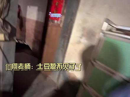 《消失的大葱和多余的黄瓜》 #大大怪 #何秋亊 #杰尼龟 #土豆 #非常打扰