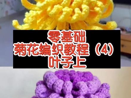 零基础菊花编织教程(4)——叶子上集#毛线编织 #爱生活爱编织 #玩毛线 #爱手工爱生活 #手工花 #我的手工作品 #亲手制作 #毛线花朵编织 #手工钩织 #钩针编织教程 #零基础学钩针 #手工钩针 #毛线 #手工花制作 #永生花