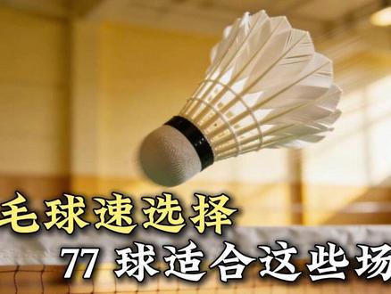 羽毛球球速选择,77球适合这些场景~#羽毛球 #羽毛球球速 #运动