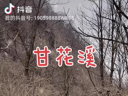 高度不一样,胸怀和格局就不一样人若没有高度,看到的都是问题人若没有格局,心中便都是鸡毛蒜皮