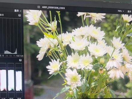 iPhone 15 Pro 拍的 Log 进 FCP 变色了?别慌,一招关掉它!终于拿到 iPhone 15 Pro 拍 Apple Log 了,结果导进 Final Cut Pro 发现“灰度”全没了?自动被还原成大饱和度?
其实是 FCP 太“聪明”了,自动帮你挂了官方 LUT。
如果你想自己手动调色,获得更高级的影调,一定要看这个操作:
1️⃣ 选中素材,打开【检查器】
2️⃣ 找到【摄像机 LUT】
3️⃣ 把 Apple Log 改成【无】
灰片瞬间回来! #AppleLog #FinalCutPro #剪辑技巧 #调色教程 #手机摄影