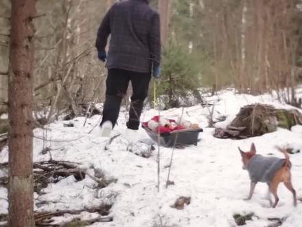 野外生存中自制肥皂的方法 #露营 #野外生存 #末日求生 #穿越技能 #自制肥皂