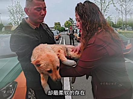 “黄站长没有家 但它出事那天 宣城全城成了它的家” #二创剪辑 #宣城高铁站黄站长