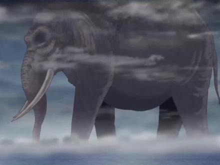 海贼王官方公布象主身高,回想路飞从象岛跳下,那是一万米啊 #海贼王 #动漫 #象主 #路飞