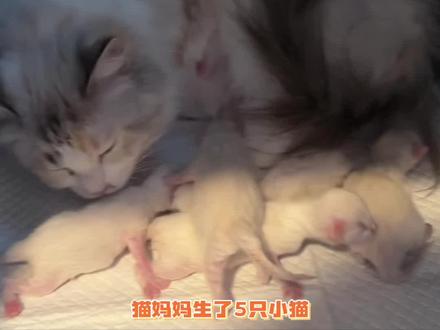 宝宝,下次希望你可以健健康康的来~