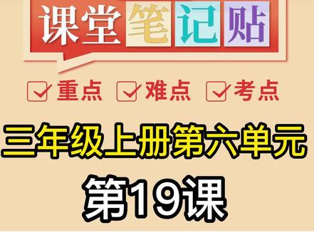 三年级第19课《滨海小城》是我们要掌握的一篇重要的写景课文,这几个考点很具有代表性(二)#三年级语文上册