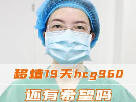 移植19天hcg960还有希望吗#科普 #试管 #关爱女性健康