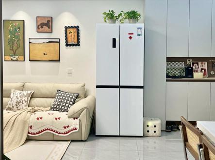 冰箱上面放一物,财源滚滚来#养生#中医#每日分享#倪海厦